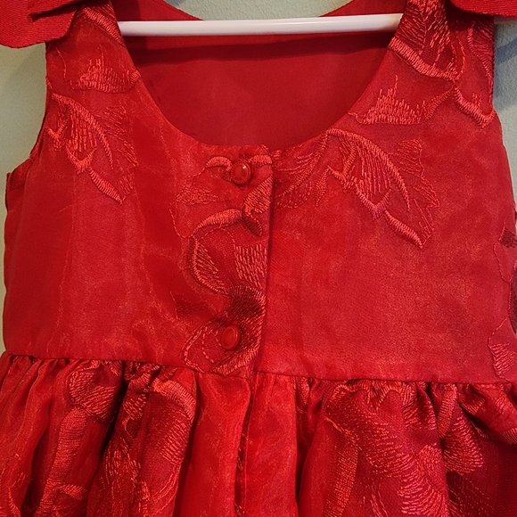 Janie and Jack Red Floral Embroidered Organza Dress | Size 3 - Picture 4 of 8
